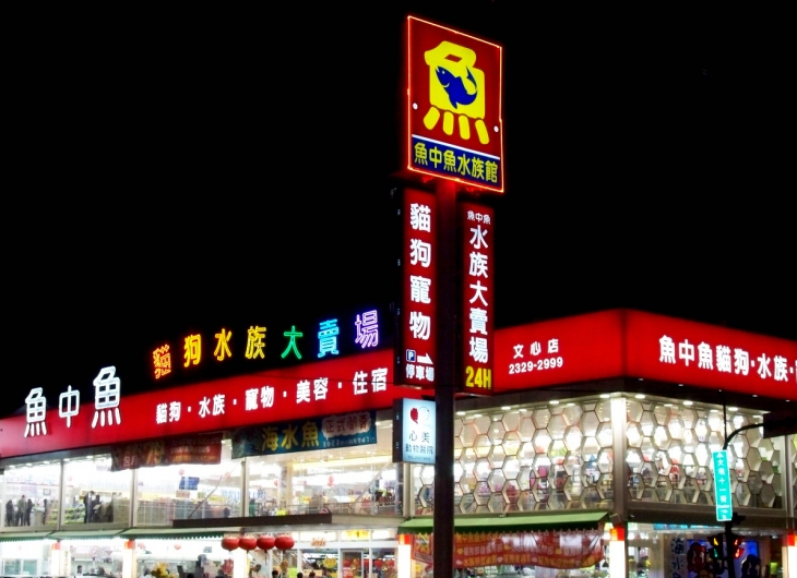 魚中魚寵物水族有限公司形象照片