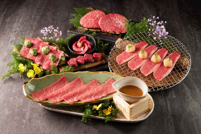 乾杯股份有限公司｜黑毛屋 高雄夢時代店相關照片4