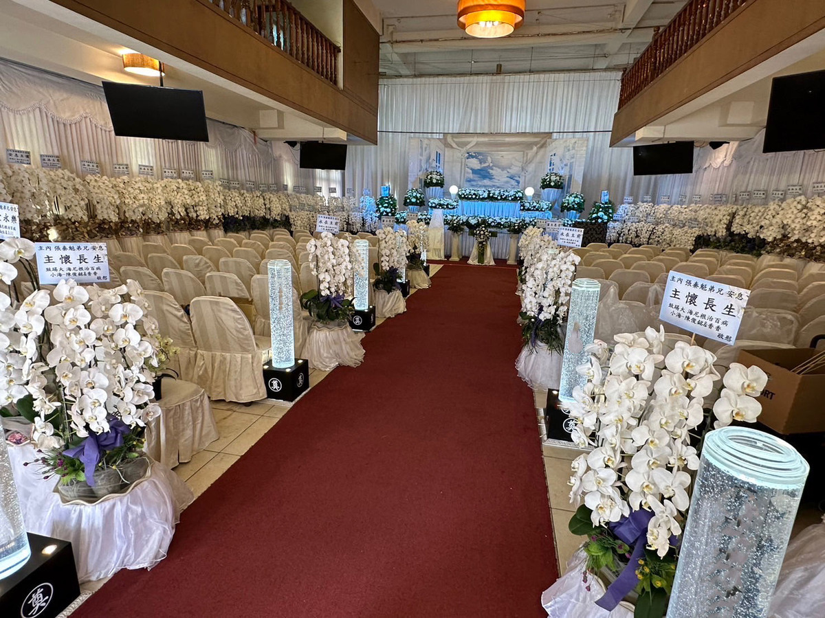 飛舞藝術蘭花相關照片2