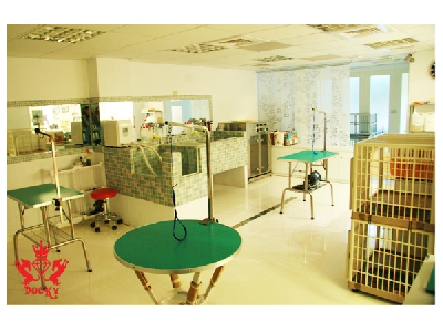 逗奇國際有限公司相關照片3