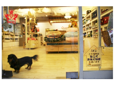 逗奇國際有限公司相關照片6