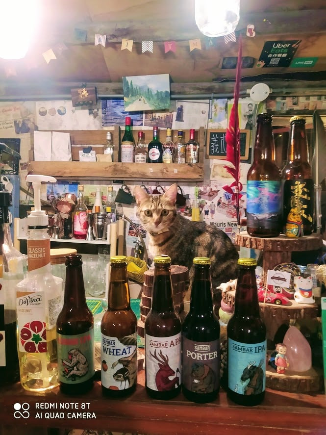 飛行樹屋咖啡相關照片5