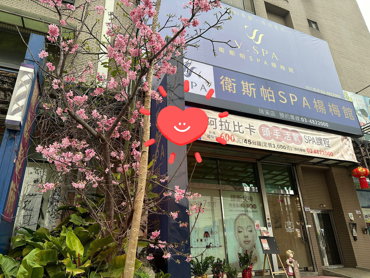 衛斯帕楊梅館相關照片1