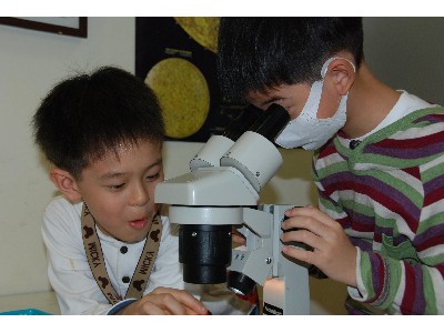 上課寫真-使用解剖顯微鏡
