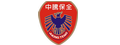 中騰保全股份有限公司