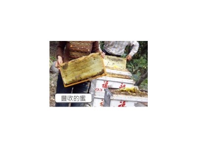 蜂之鄉有限公司相關照片3