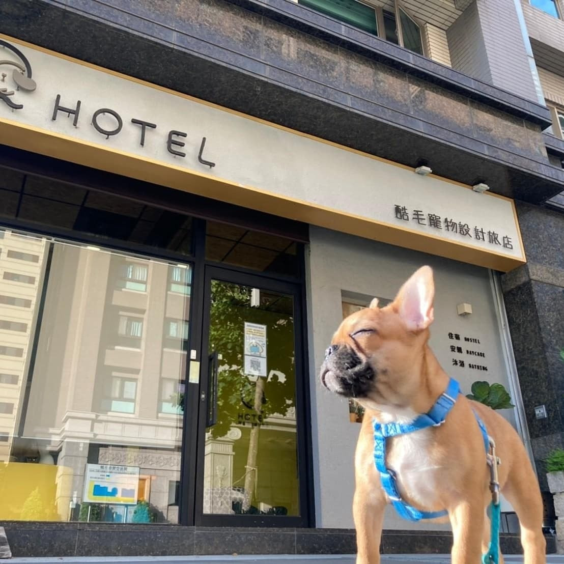 酷毛寵物事業有限公司相關照片2
