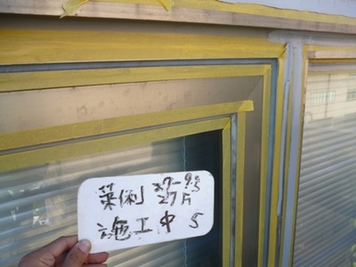 矽利康更新