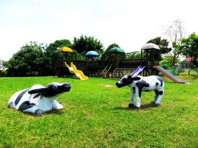 新竹縣私立故事島幼兒園相關照片4