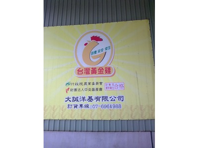 台灣黃金雞