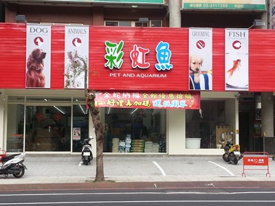 彩虹魚寵物水族百貨館相關照片1