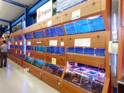 彩虹魚寵物水族百貨館相關照片4