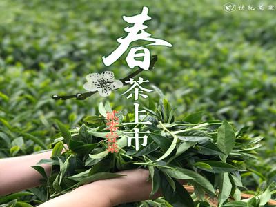世紀商行相關照片1