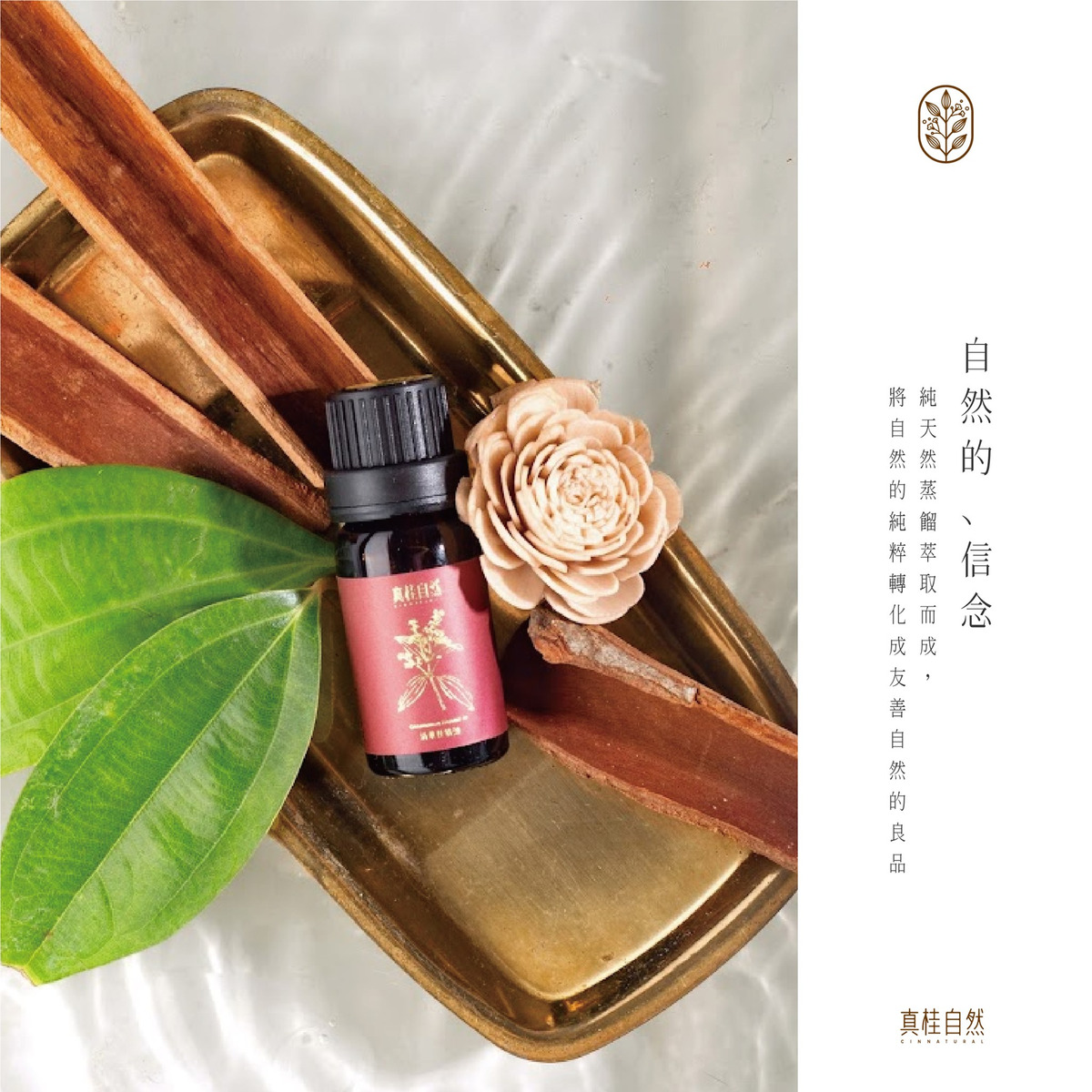 廣善園藝‧神秘果的家_廣善企業行相關照片9