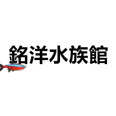 銘洋水族舘