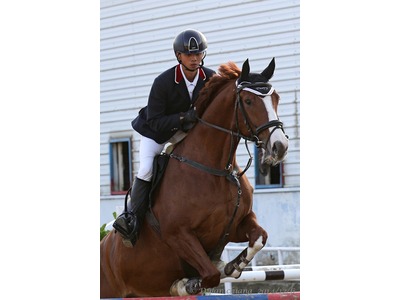 澳登堡馬術指導中心相關照片4