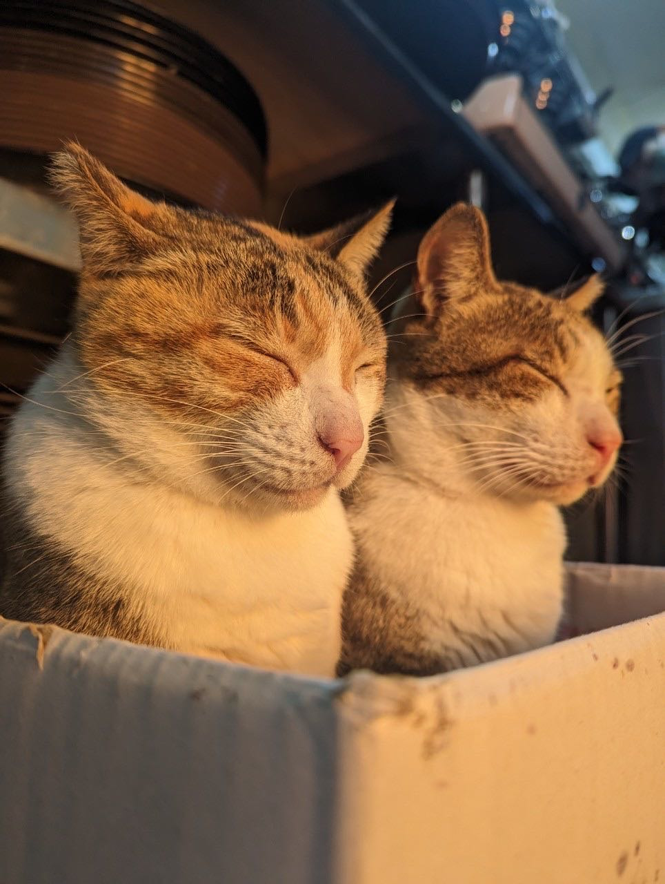 一五一高地餐飲小舖相關照片4