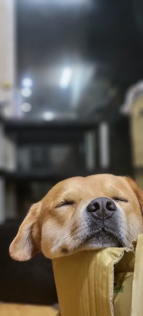 一五一高地餐飲小舖相關照片6