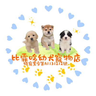 比霏哆幼犬寵物店
