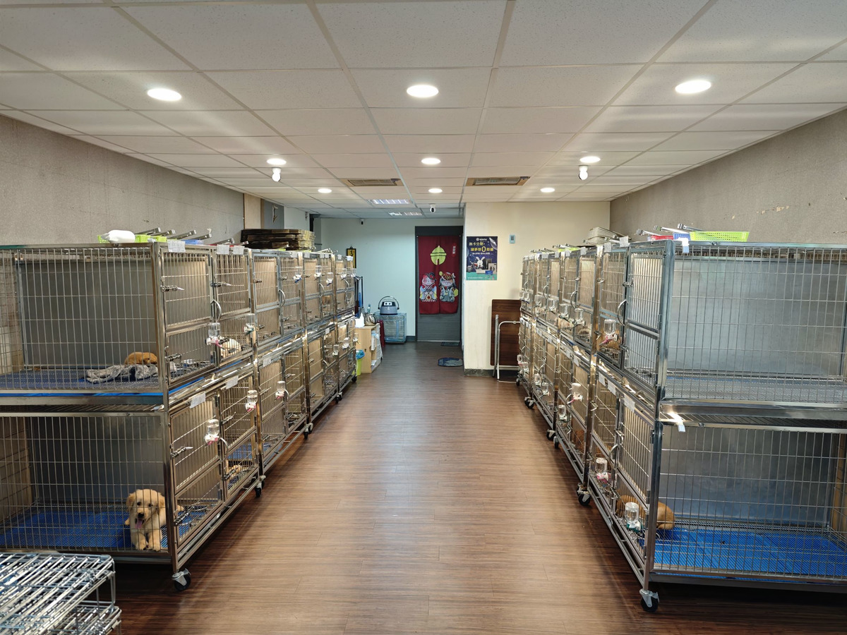 比霏哆幼犬寵物店相關照片3