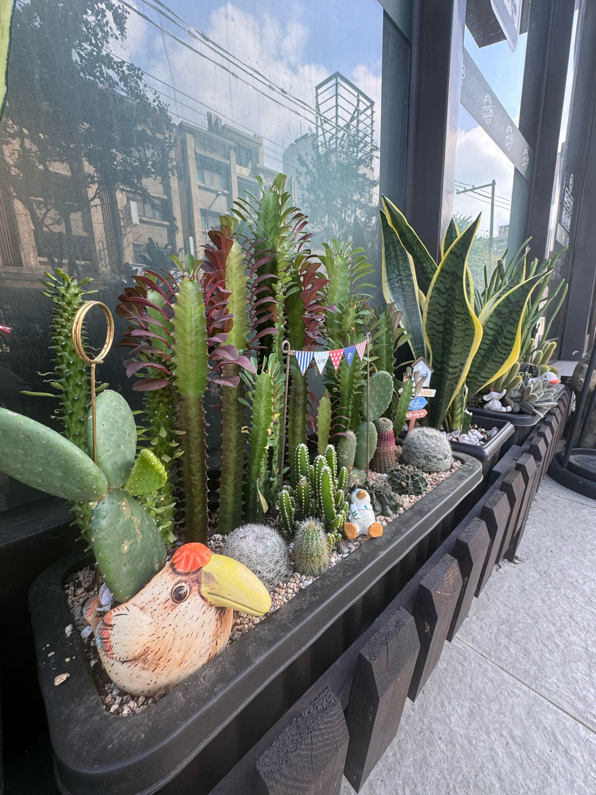麥味登楊梅三沅店(三沅早餐店)相關照片3
