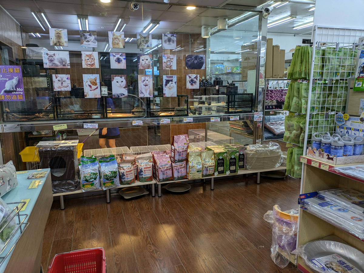 愛貓園寵物店相關照片7