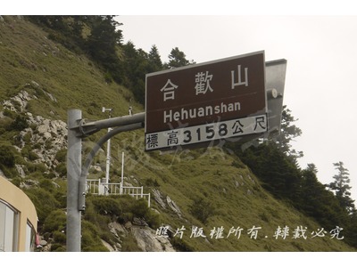 駿茗茶葉有限公司相關照片5