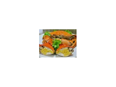 東和日本料理 [桃園市]相關照片2