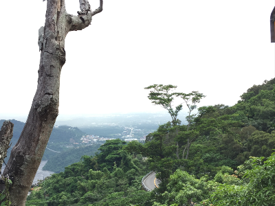 美麗的風景