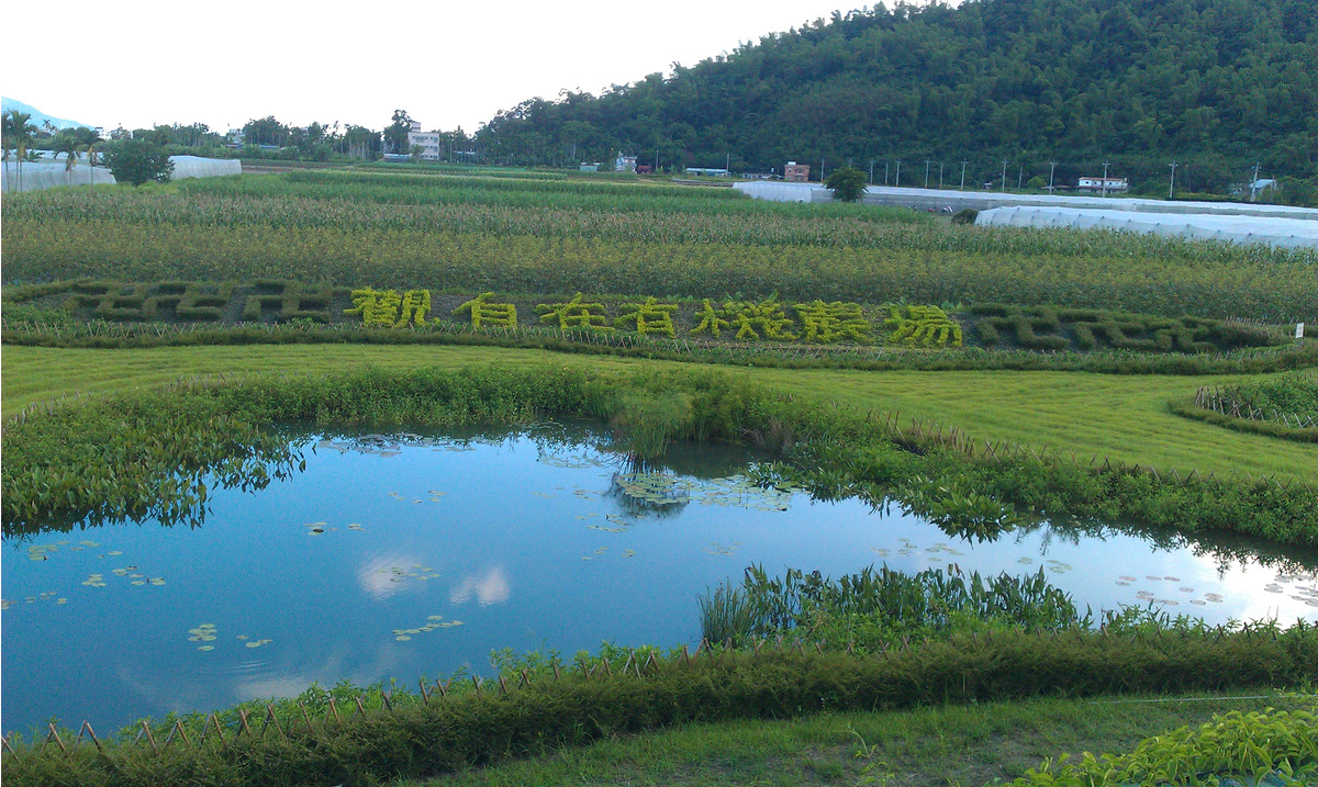 觀自在農業企業有限公司相關照片1