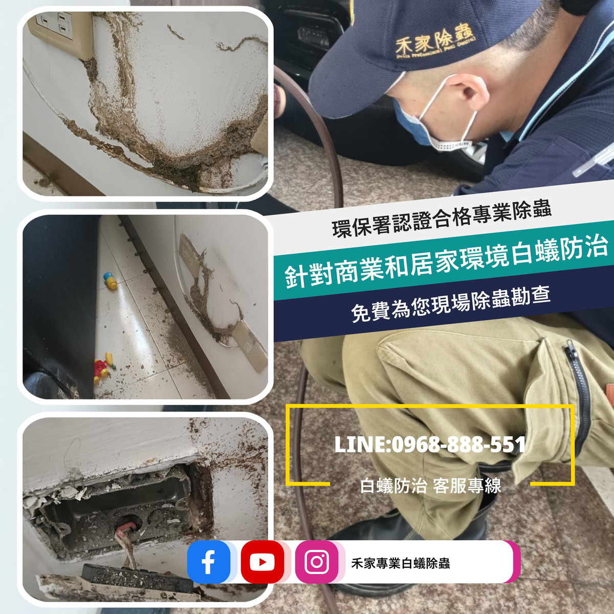 禾家除蟲企業行相關照片8