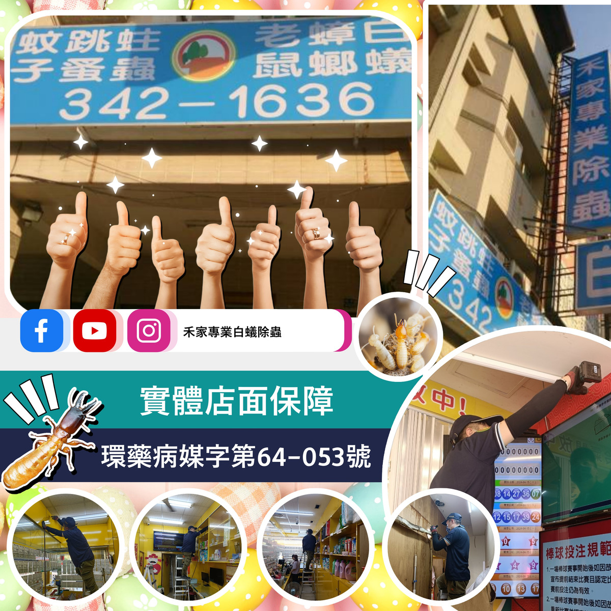 禾家除蟲企業行相關照片10