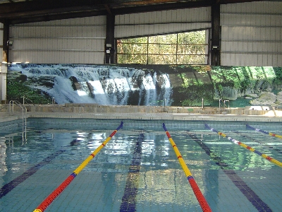 室內25M標準池