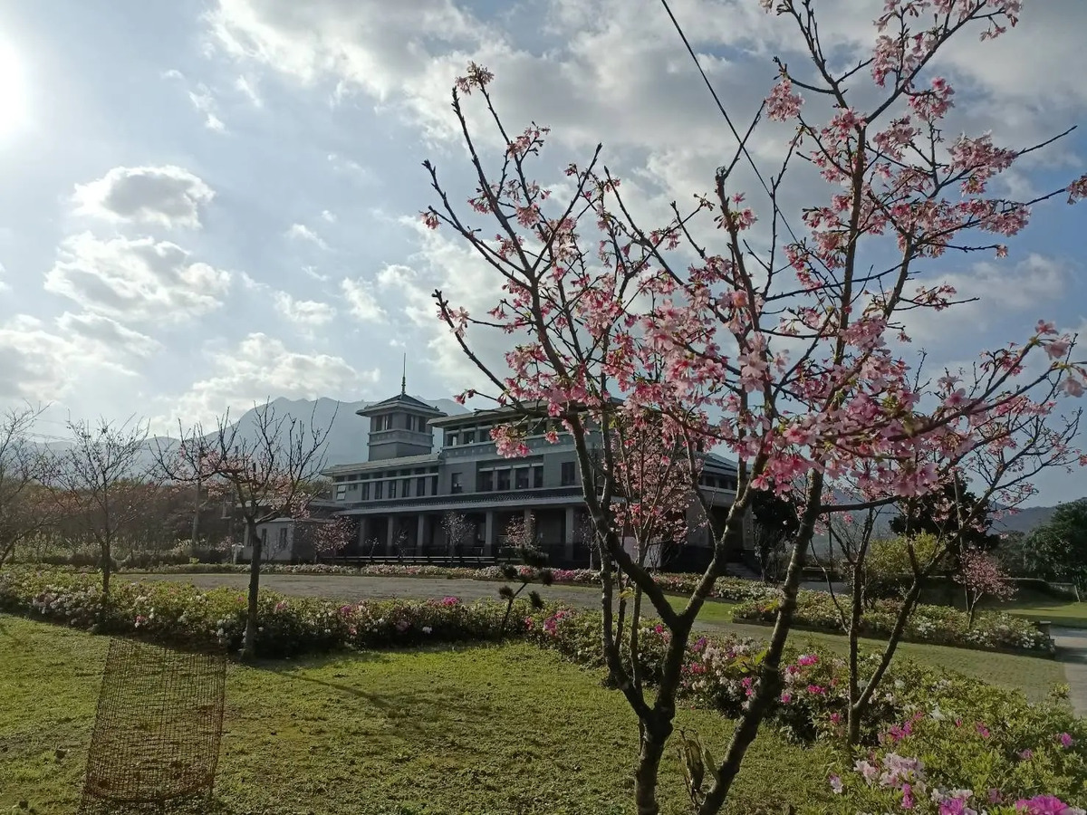 財團法人新北市金山慈音寺相關照片7