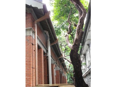 銅集水槽及落水管