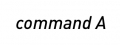 command A (阿法國際有限公司)