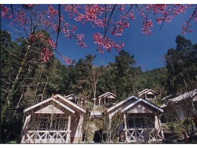 明池山莊小木屋