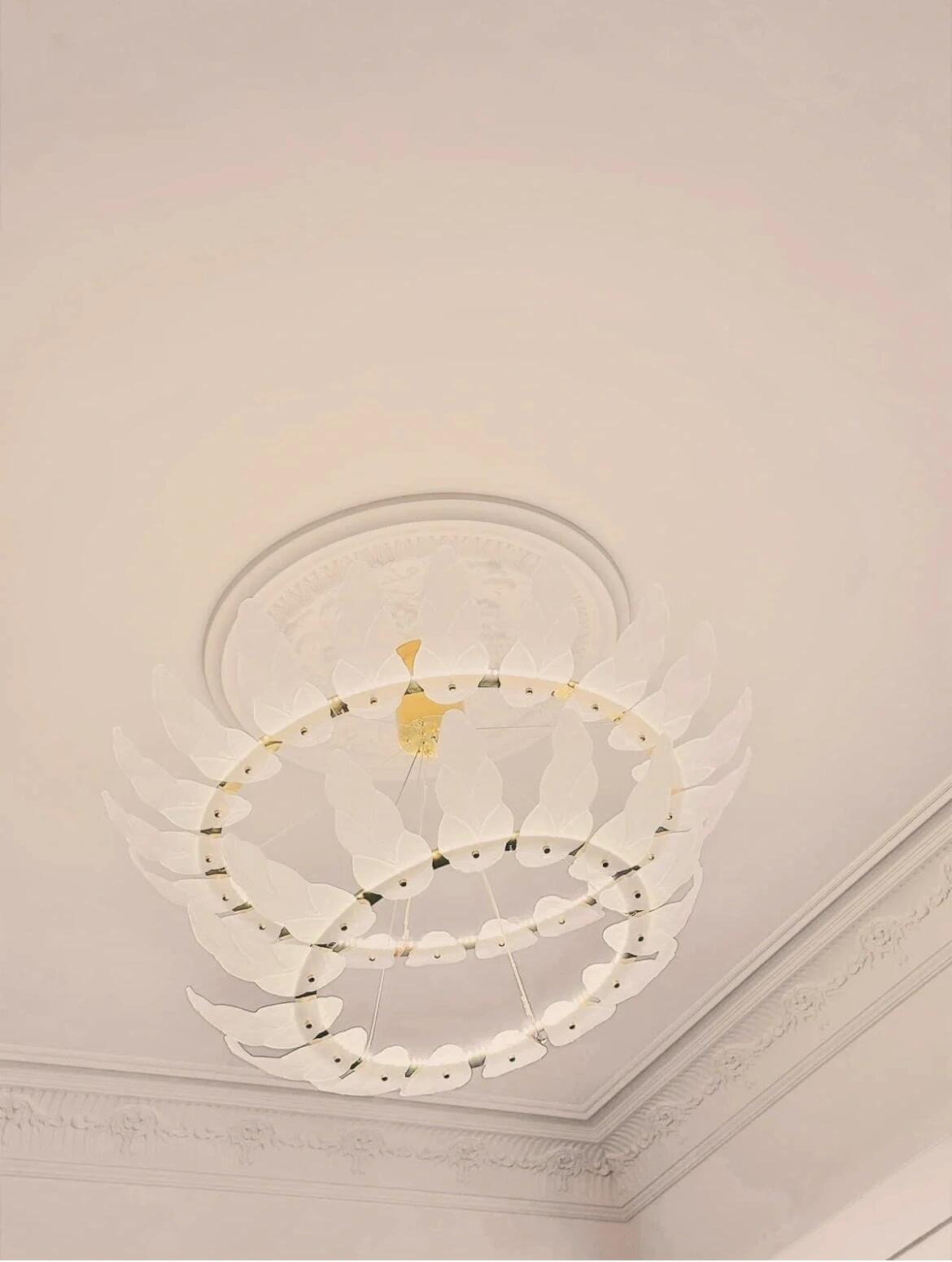 知蒔有限公司相關照片2