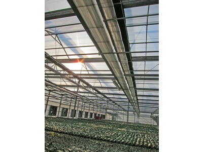 Greenhouse