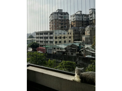 寵物防墜
