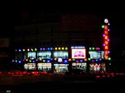 日升寵物概念館-環東店