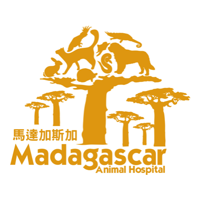 馬達加斯加動物醫院