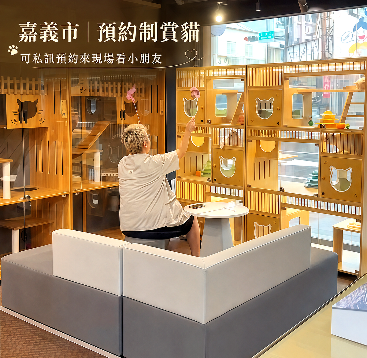 凱莉貓舍相關照片1