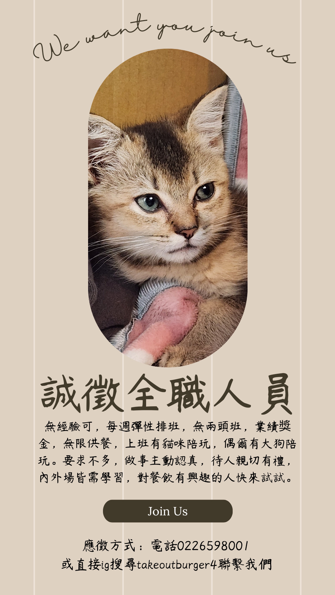 貓咪先生有限公司相關照片9