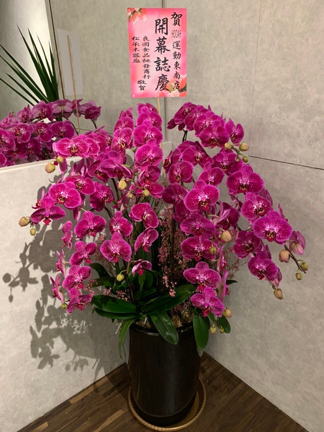 田中花卉行相關照片3