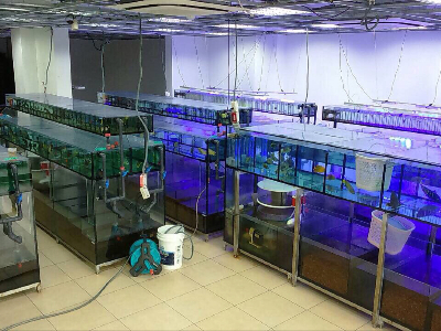 公司內部循環水系統照片