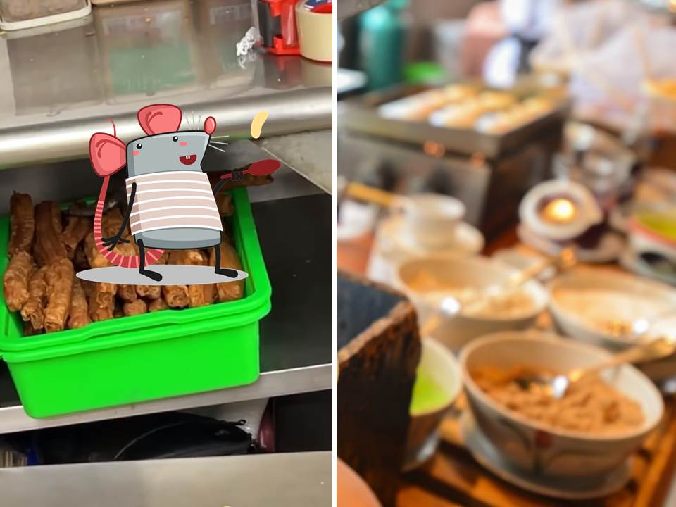 早餐店竟上演「料理鼠王」？餐廳業者未做好食安把關，檢舉罰款最少6萬起跳！