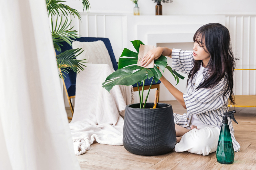 23開運方法大公開 居家風水撇步 客廳開運色讓你好運到 518職場熊報