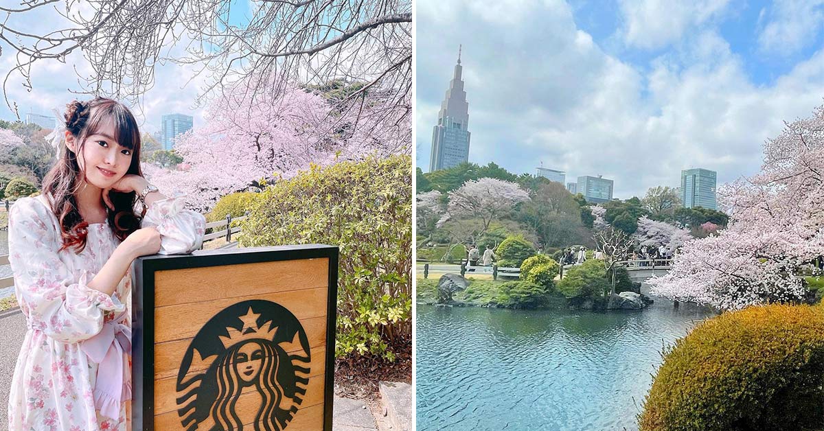 櫻花季來臨，日本機票買了嗎？東京4間喝咖啡還能賞櫻的「花見」咖啡廳名單大集合