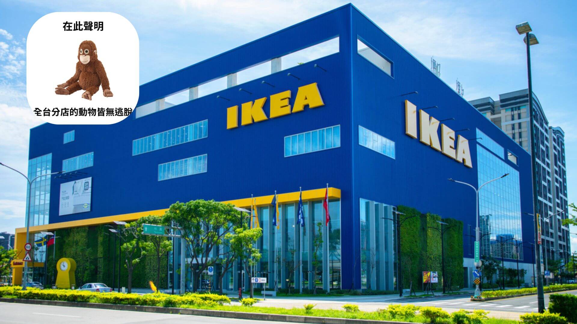 跟風狒狒逃脫中，IKEA小編發文萬人笑翻！意外曝光IKEA員工薪資福利